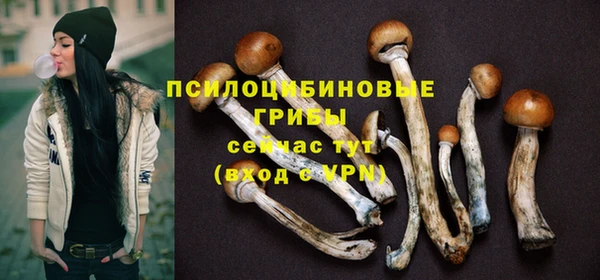сатива Беломорск