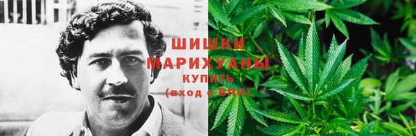 apvp Медногорск