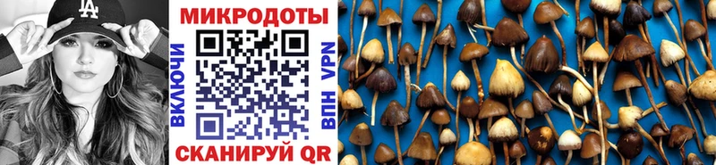 купить наркотики сайты  Котельниково  Галлюциногенные грибы ЛСД 